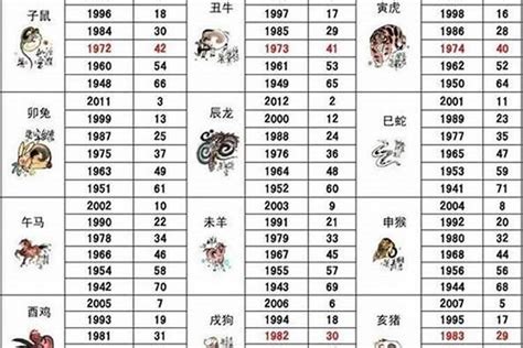 85年生肖|85年属什么生肖？